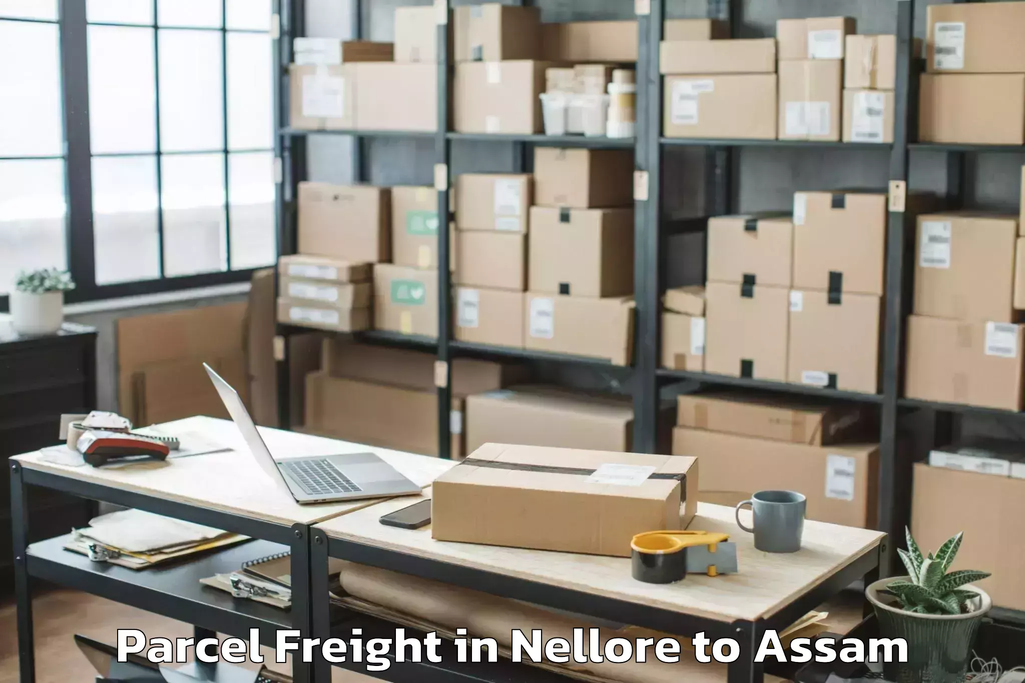 Nellore to Sarthebari Parcel Freight Booking